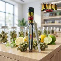 Jumanji Pre Roll H3BTA - Amnesia Haze